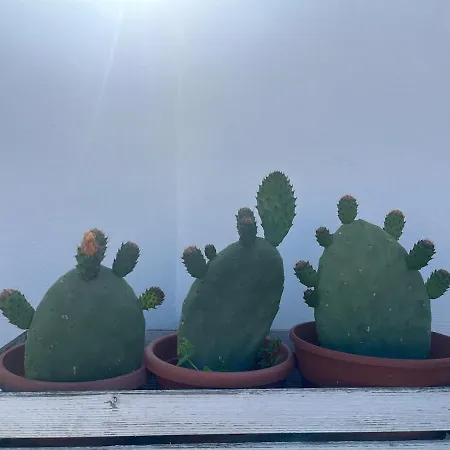 Monteverde Double Terrace Penthouse Апартаменты Рим